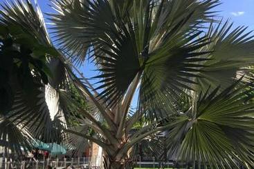 هتل Restaurante Versalles