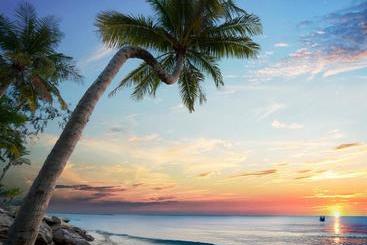 هتل Wyndham Grand Phu Quoc