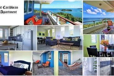 هتل Cloud9 Dominica Boutique