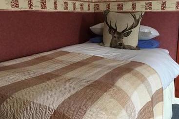 هتل The Stag Head