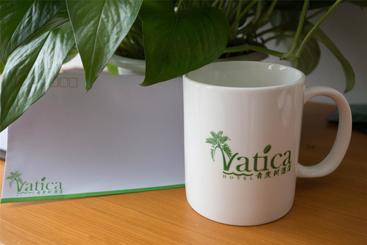 هتل Vatica Shanghai Jiading District Jiangqiao