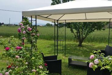 B&b Le Rose