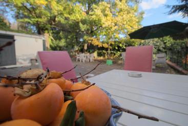 تختخواب و صبحانه Magma Guest House