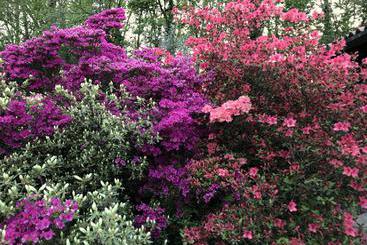 تختخواب و صبحانه Il Giardino Dei Sogni