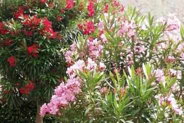 تختخواب و صبحانه Al Borgo