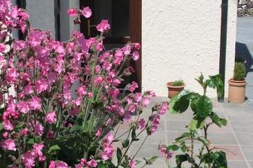 Inishfree House B&b