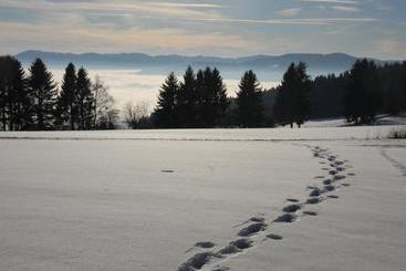 هتل Gasthof Paunger