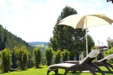 هتل Chalet Dlaces
