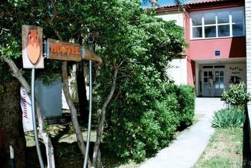 Hostel Amfora