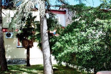 Hostel Amfora