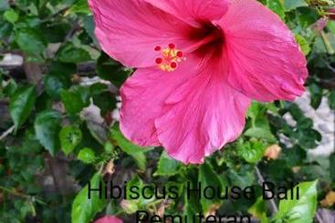 پانسیون Hibiscus House Pemuteran Bali