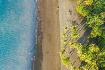 בית מלון כפרי Papagayo Golden Palms Beachfront