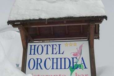 ホテル Orchidea