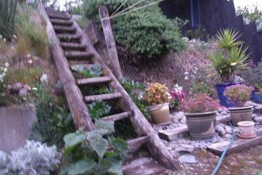 تختخواب و صبحانه Annie's Bnb At 7c