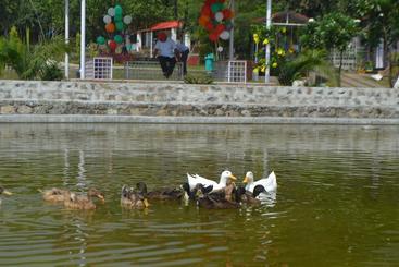 Balaut Resort
