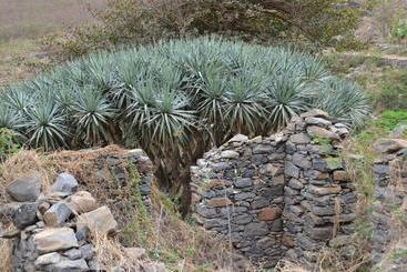 تختخواب و صبحانه Casa Patio