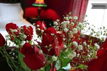 تختخواب و صبحانه Recanto Da Primavera