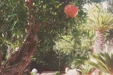تختخواب و صبحانه Casa D'autore