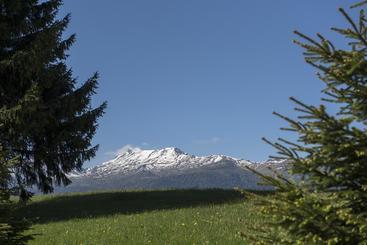 هاستل Juhui Lenzerheide