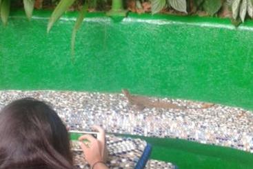 هتل Manuel Antonio Park House  Adults Only
