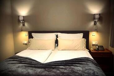 בית מלון כפרי Regina