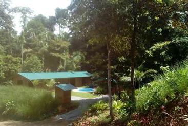 تختخواب و صبحانه Forest Lodge