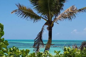 تختخواب و صبحانه Villa Mina Beachhouse