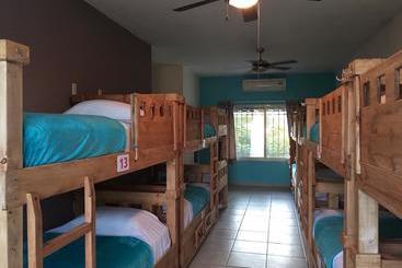 هاستل Hostal Bucerias