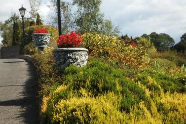 Blarney Vale B&b