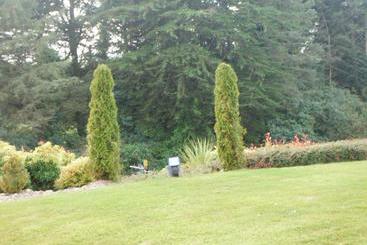 Blarney Vale B&b