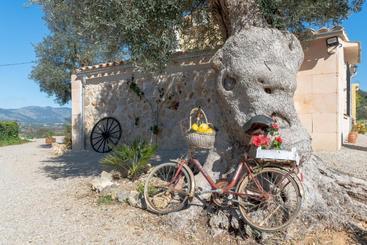 هتل Finca Son Jover
