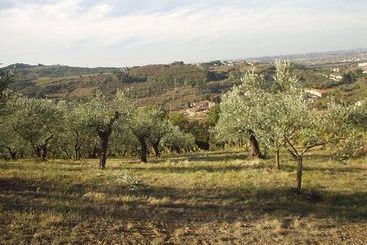 هتل Agriturismo Il Cavallone