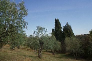 هتل Agriturismo Il Cavallone