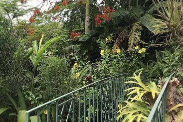 Treetops Villa
