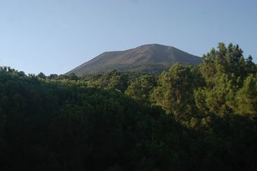 هتل Parco Vesevus