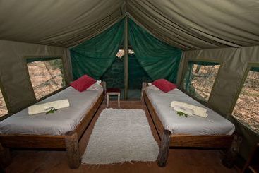 هتل Hippo Lodge
