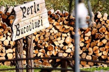 Pension Perla Bucovinei