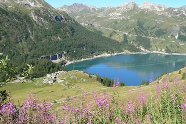 پانسیون Chalet Colinn