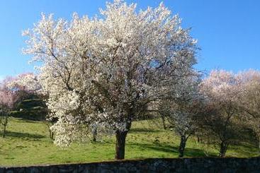 پانسیون Flor Do Douro   Comércio E Hotelaria, Lda
