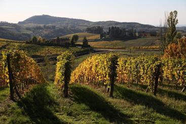 هتل Villa Pallavicini B&b