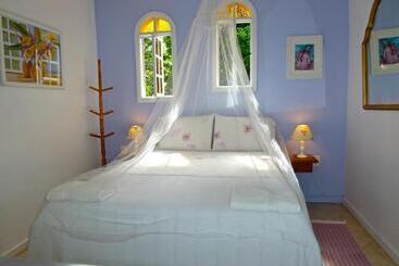 פנסיון Aratinga Inn