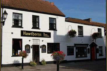 هاستل Hawthorns