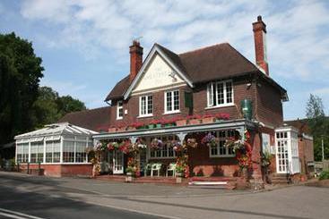 ユースホステル The Wheatsheaf Inn