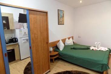 Pensiunea Red Rose Apartments