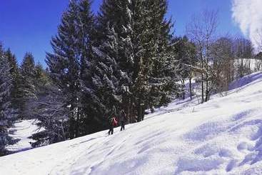 هتل Chalet Les Pieux