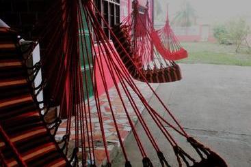 پانسیون Perezoso Hostel