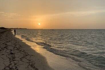 فندق Playa Arena
