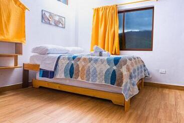 هاستل Mindoxtrem Birds