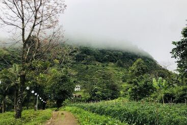 Курорт Bintana Sa Paraiso Binunsaran