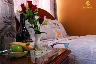 膳宿费 Hostal Spring Ii